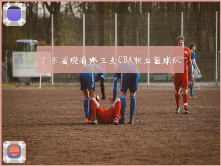 广东省现有哪三支CBA职业篮球队