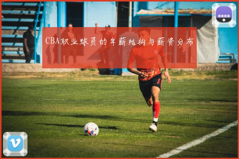 CBA职业球员的年薪结构与薪资分布