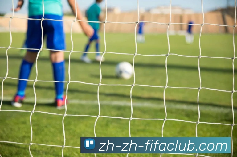 世界杯直播平台生态图